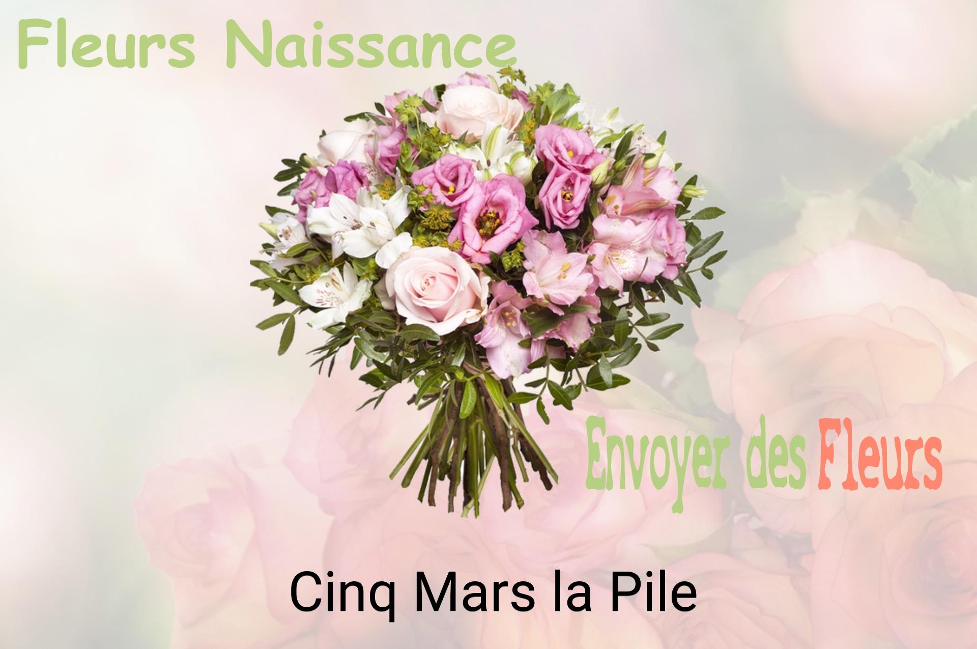 Bouquet de fleurs de naissance livré à Cinq-Mars-la-Pile